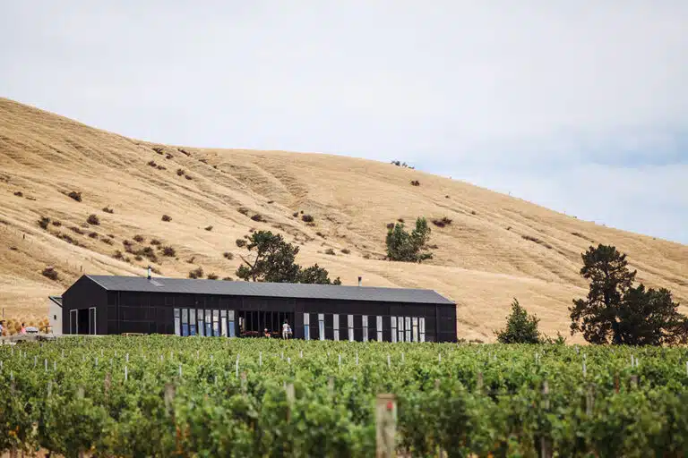 Black Estate - Waipara, North Canterbury