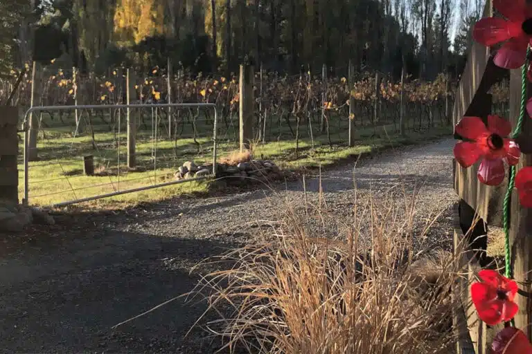 Braided River Wines in West Melton