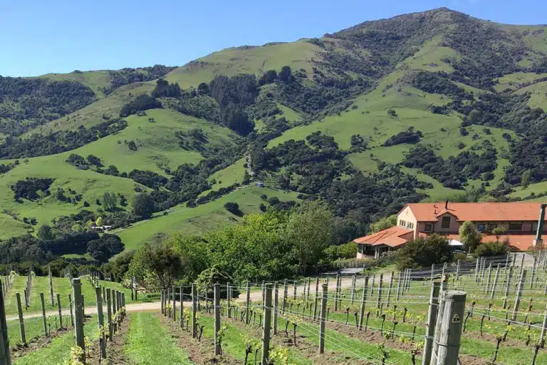Takamatua Valley Vineyards - Akaroa Winery