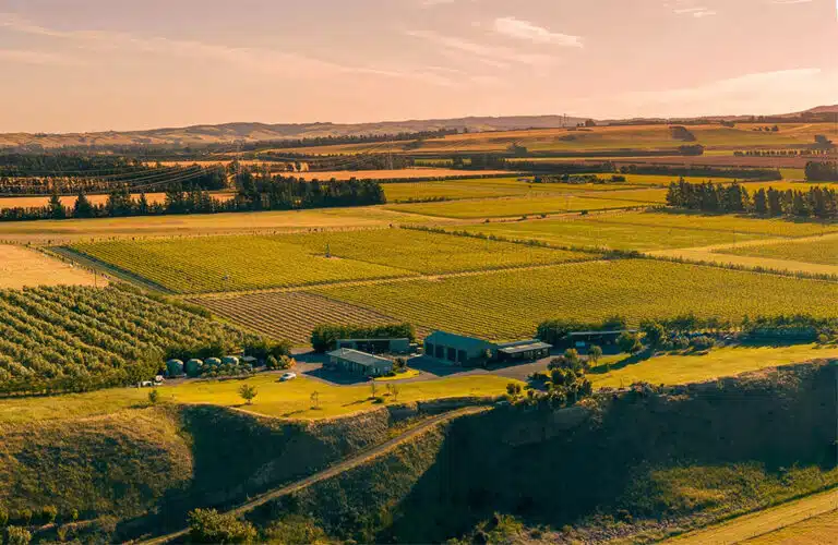 Terrace Edge Vineyard & Olive Grove